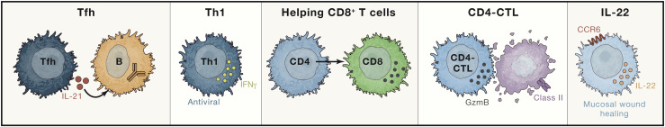 Figure 3