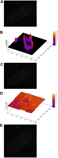 FIG. 1.