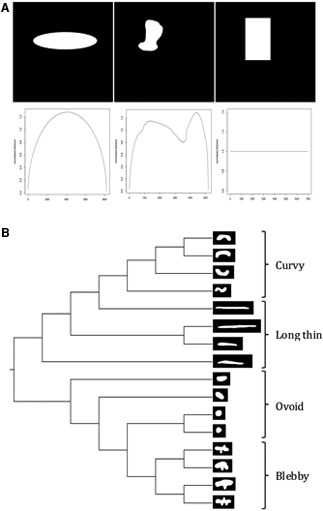 FIG. 5.