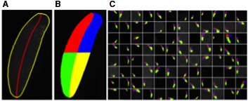 FIG. 3.