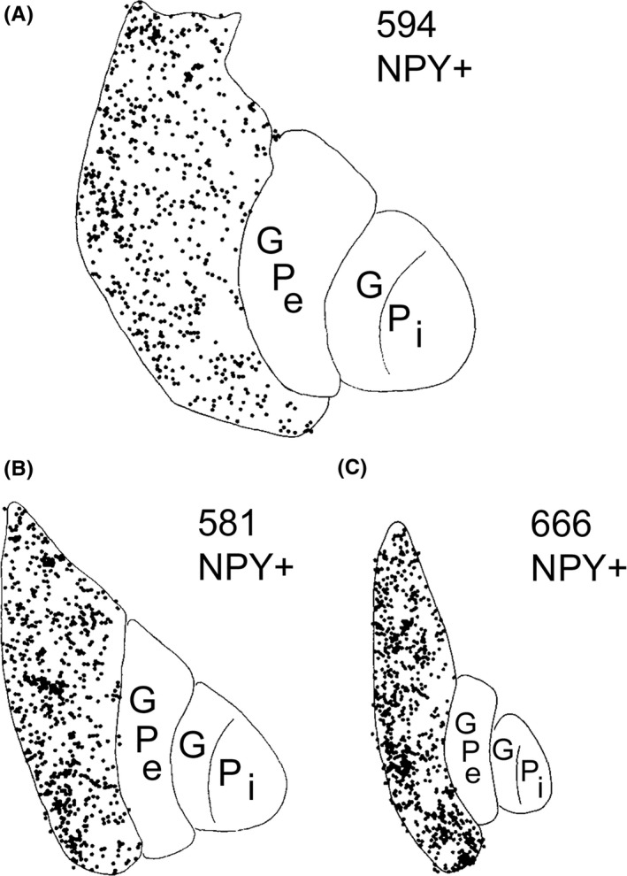 Figure 9