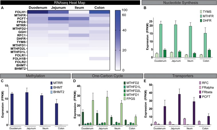 FIGURE 4