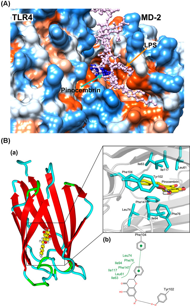 Figure 10