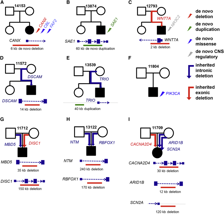 Figure 6