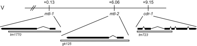 FIG. 1.