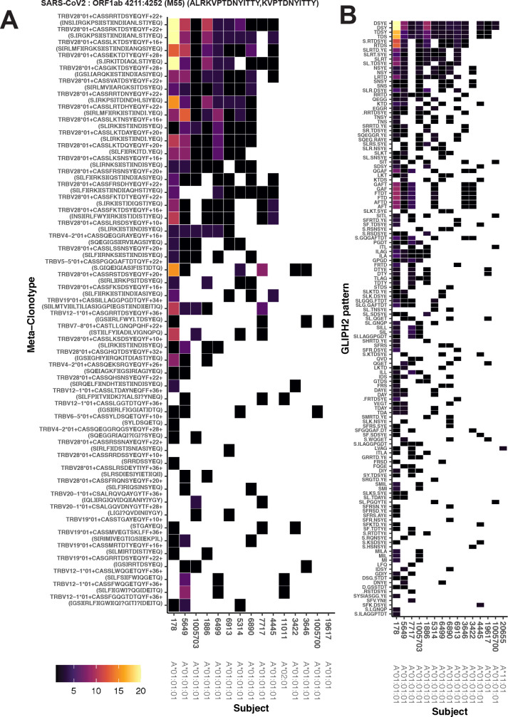 Figure 11.