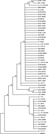 FIG. 4.