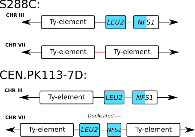 Figure 2.