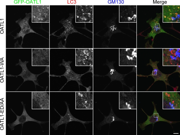 Figure 3.