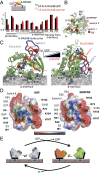 Fig. 2.