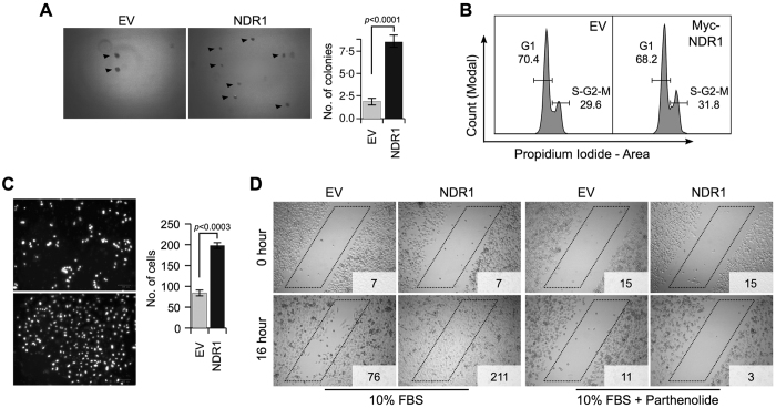 Figure 6