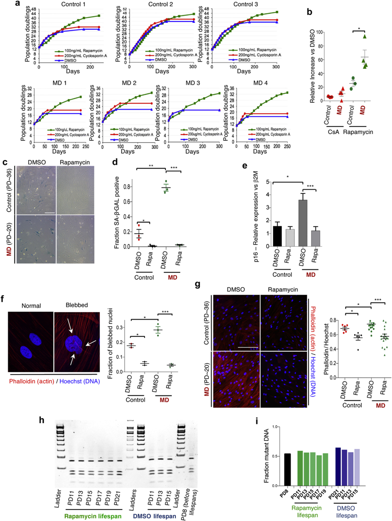 Figure 2|