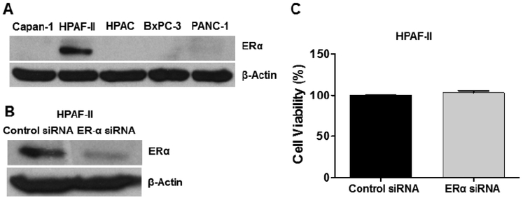 Fig. (5).