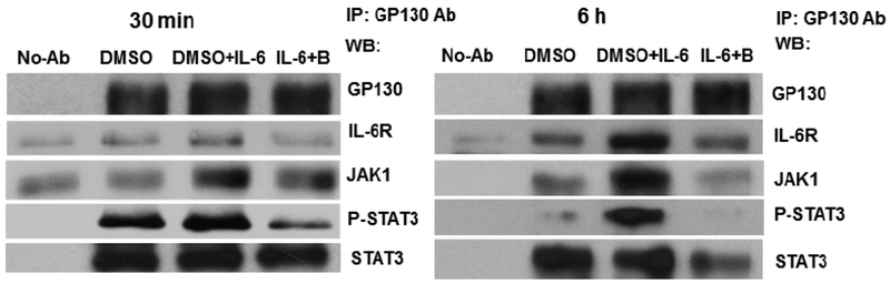 Fig. (10).