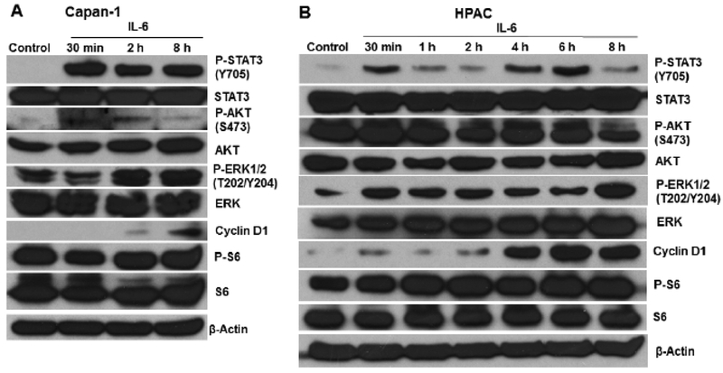 Fig. (2).