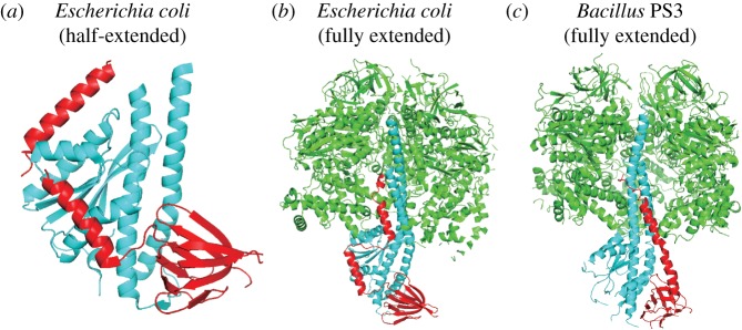 Figure 2.