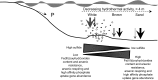 Fig. 9