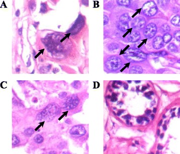 Fig. 5