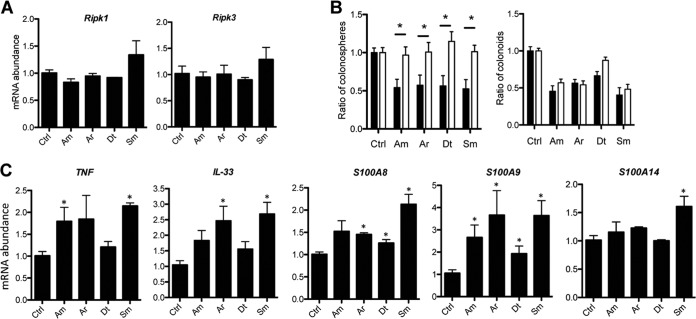 FIG 6 