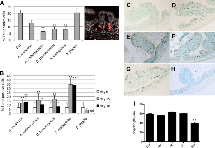 FIG 1 