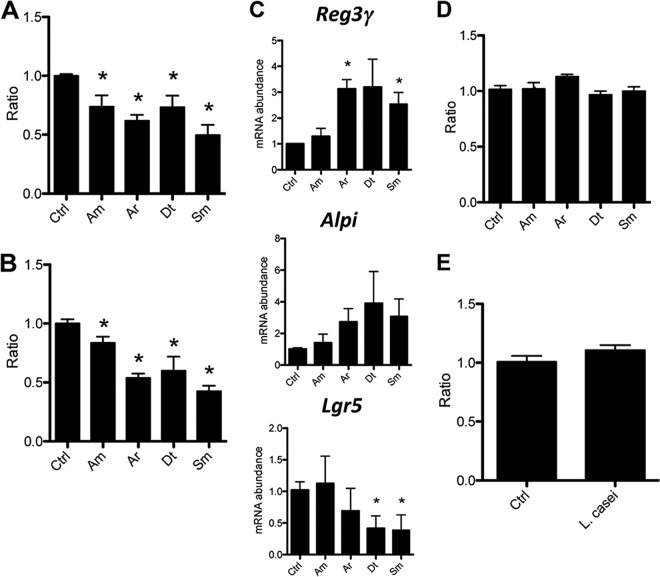 FIG 2 