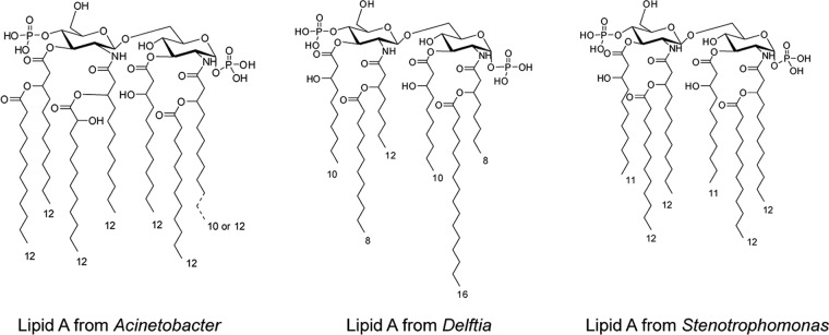 FIG 3 