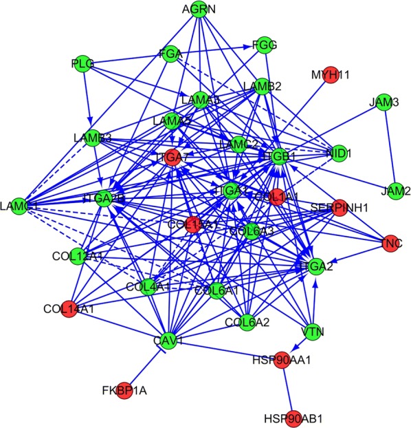 Fig. 3