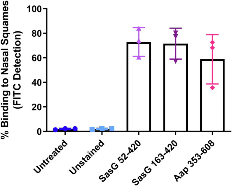 Figure 4