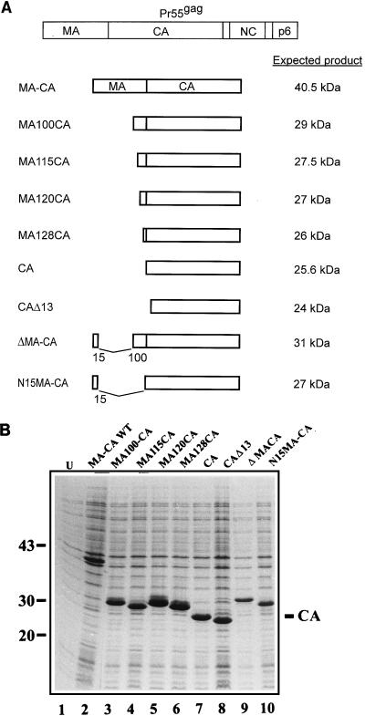 FIG. 5