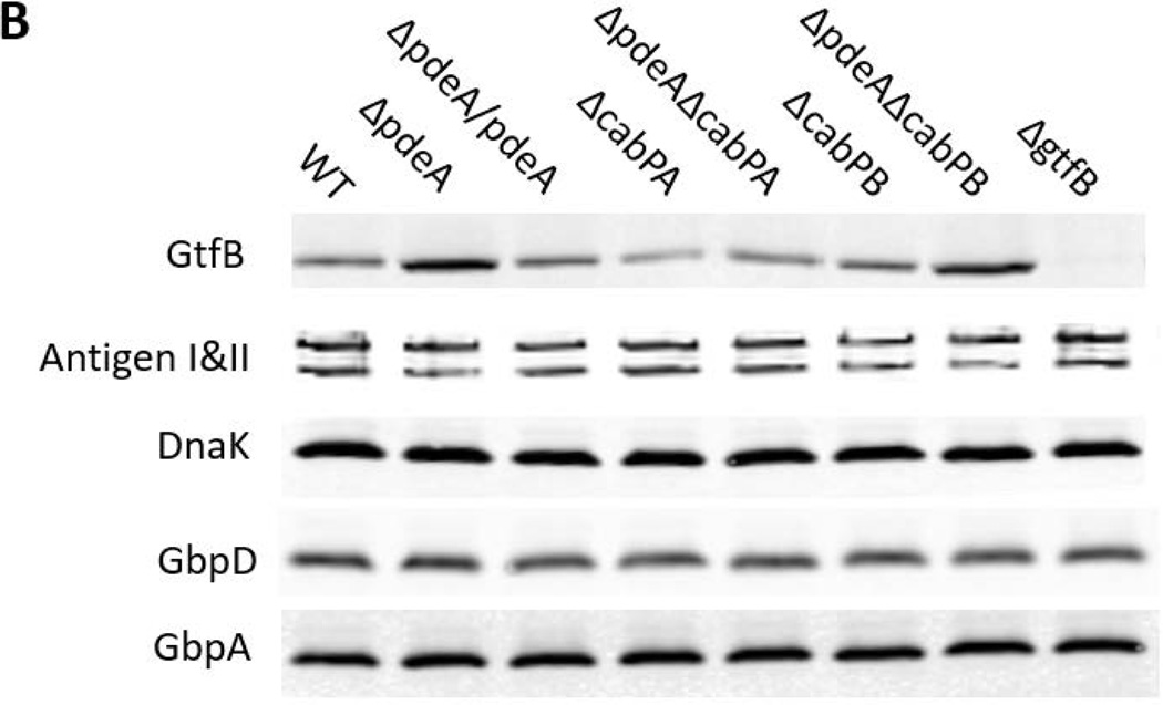 FIG 5