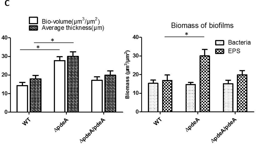 FIG 2