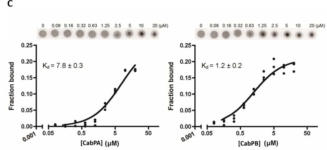 FIG 3