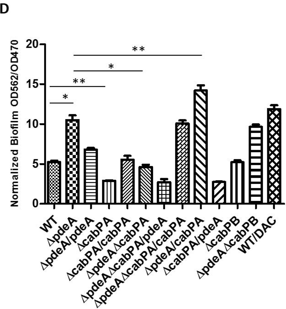 FIG 3