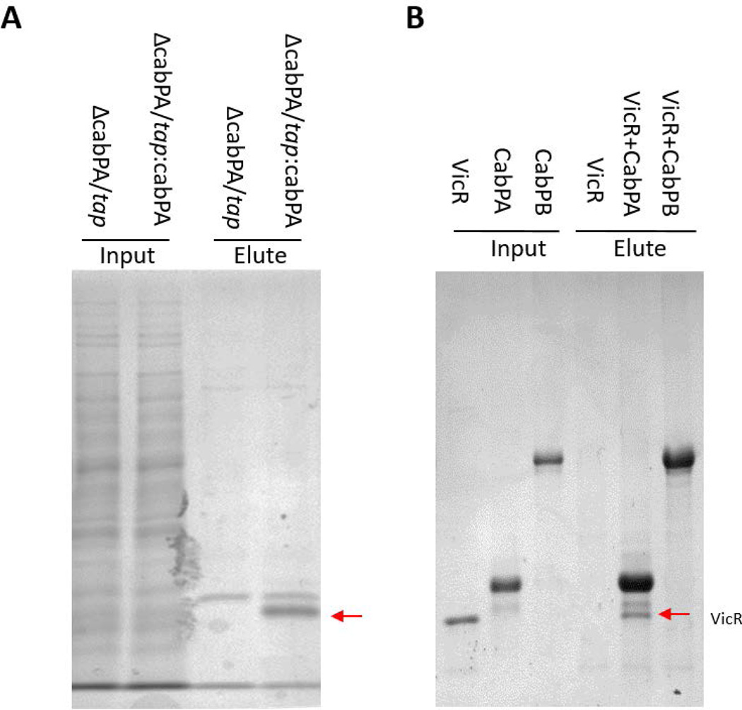 FIG 6