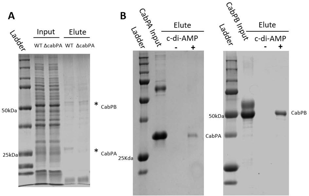 FIG 3