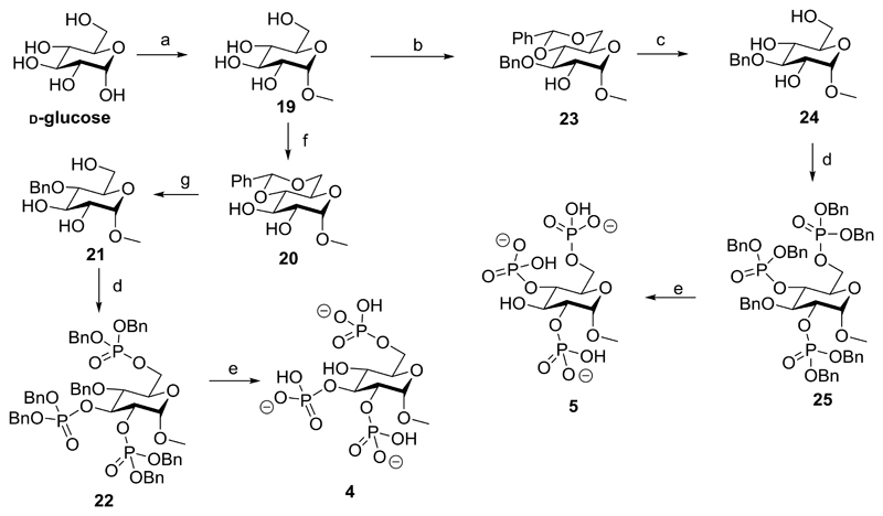 Scheme 3