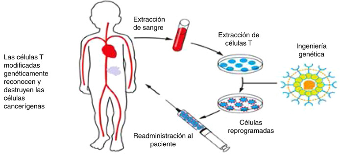 Figura 1