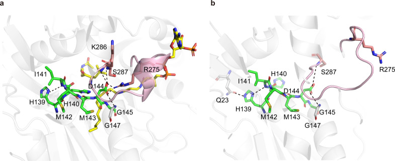 Fig. 10