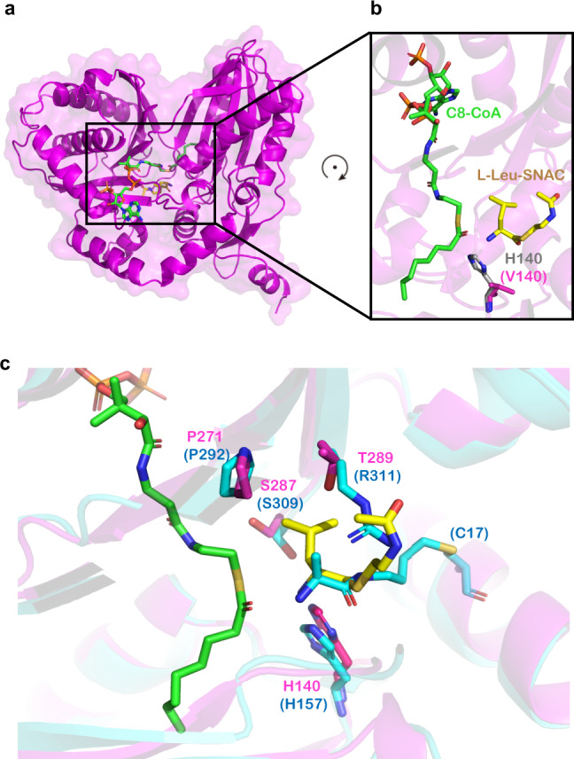 Fig. 8