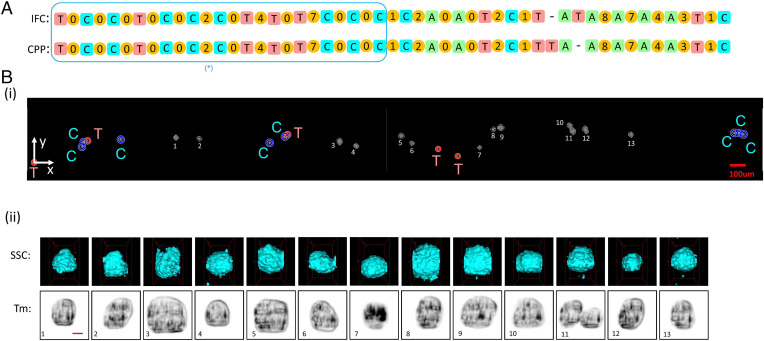 Fig. 6.