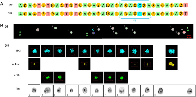 Fig. 4.