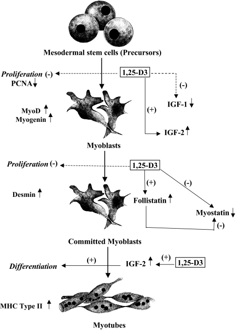 Fig. 8.