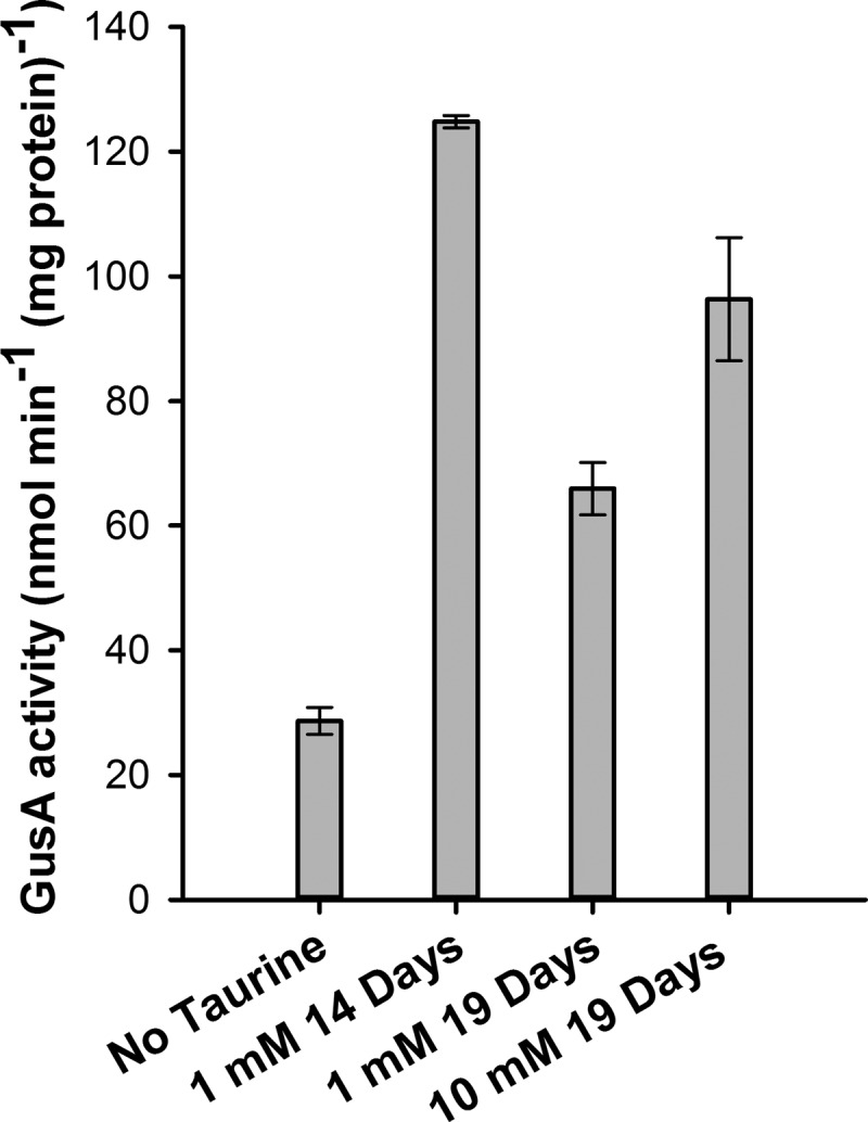 Fig 5