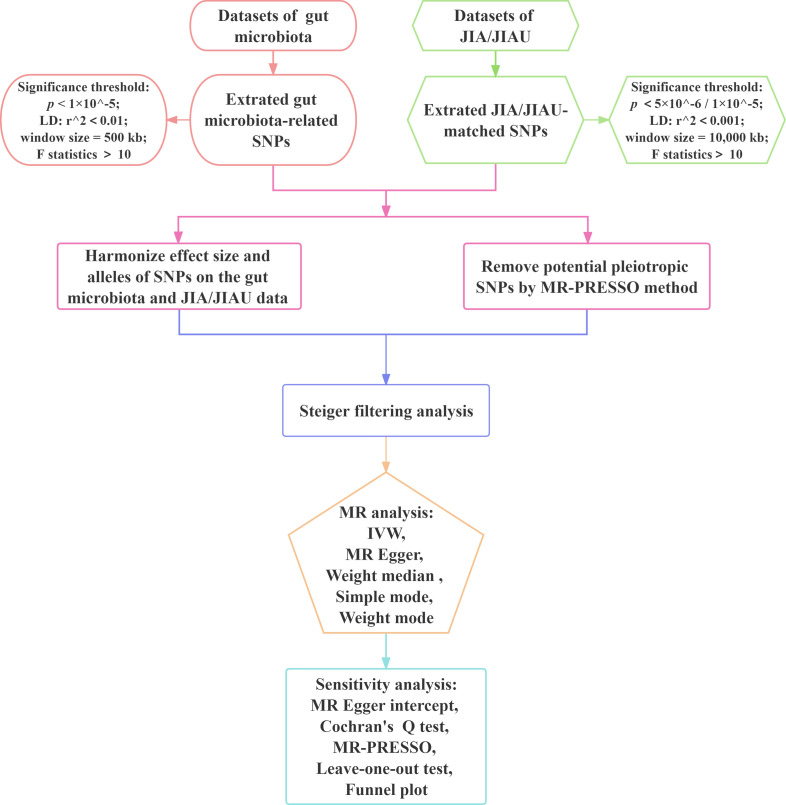 Figure 2