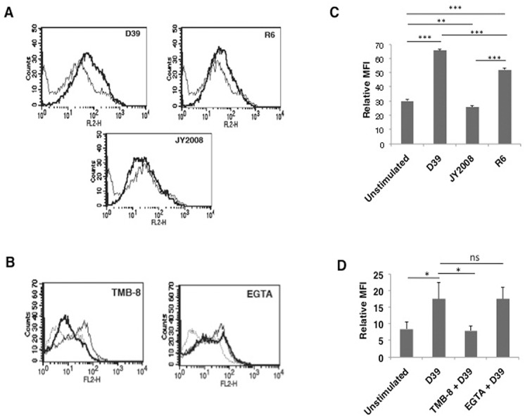 Fig 6