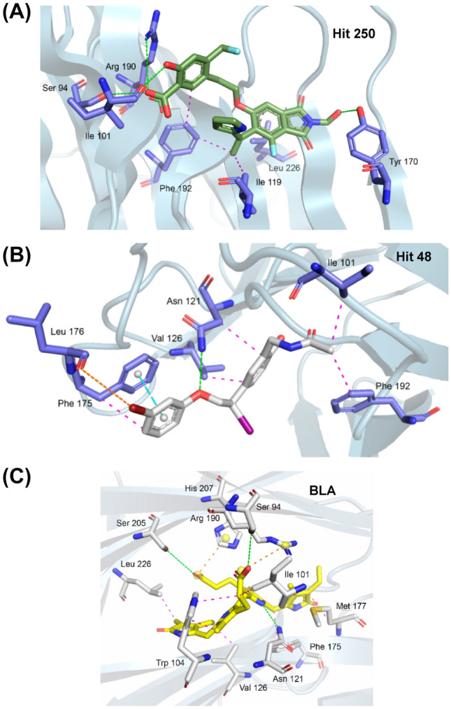 Fig. 6