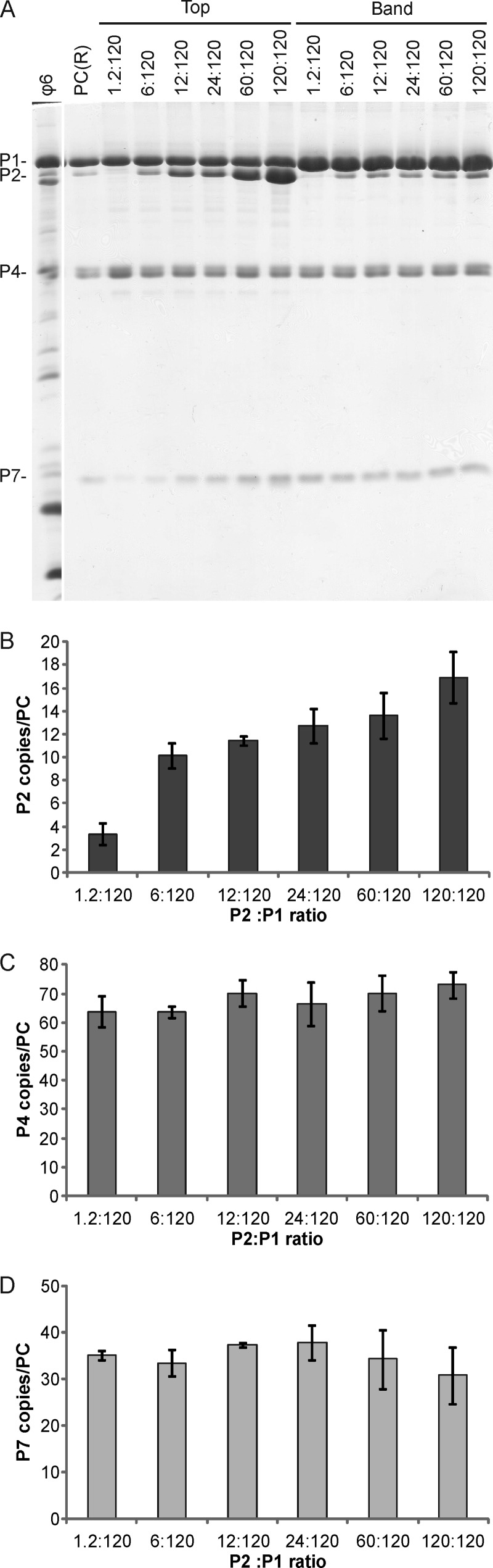 Fig 3