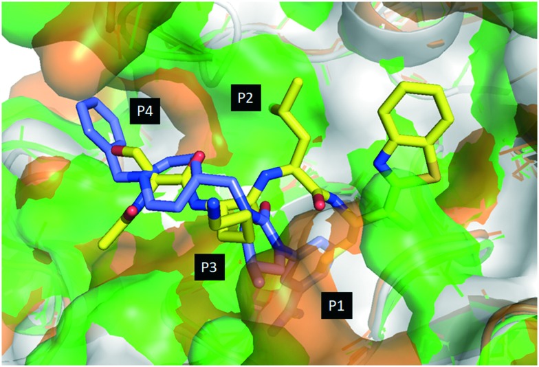 Fig. 2