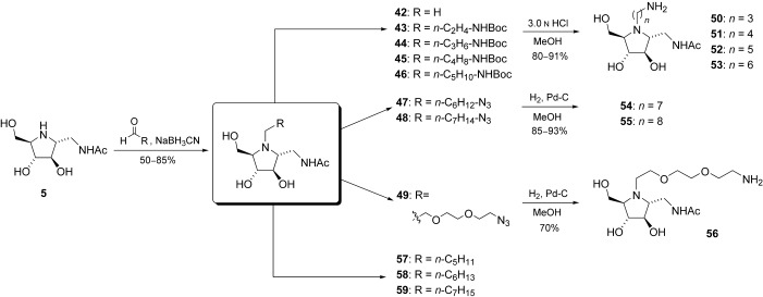 Scheme 4