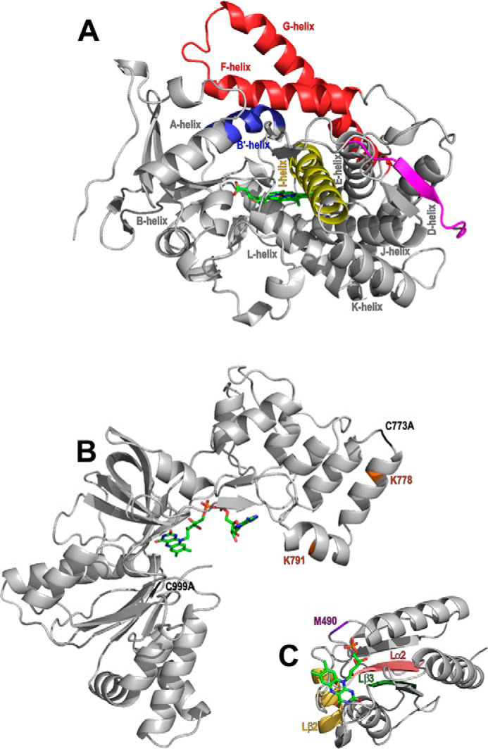 Figure 1.